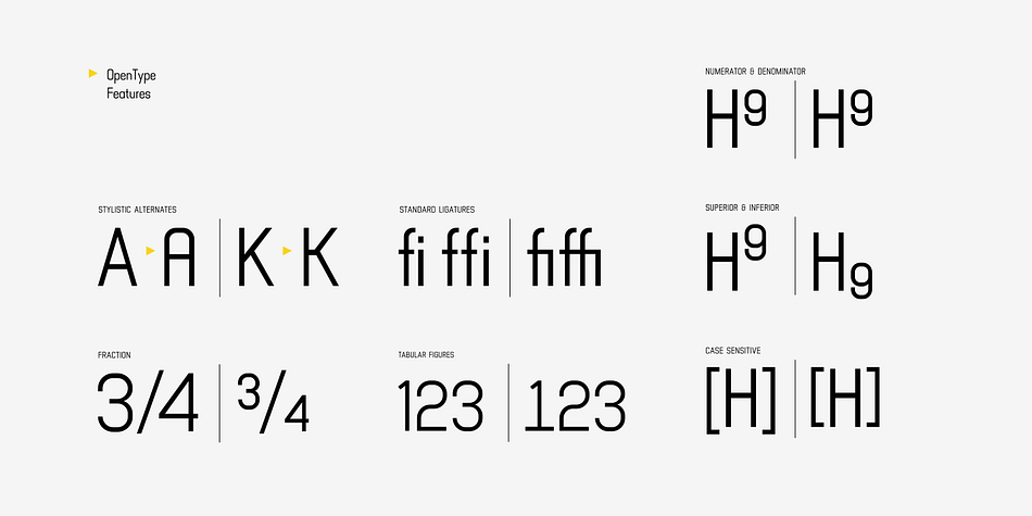 It comes with more 400+ glyph support including more latin european diacritics language.