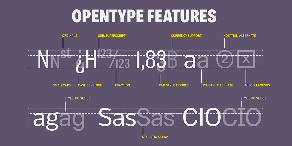 Body  has extensive OpenType support including 3 additional stylistic sets, Stylistic Alternates, Lining Figures and Standard Ligatures making it a powerful font for experienced designers.