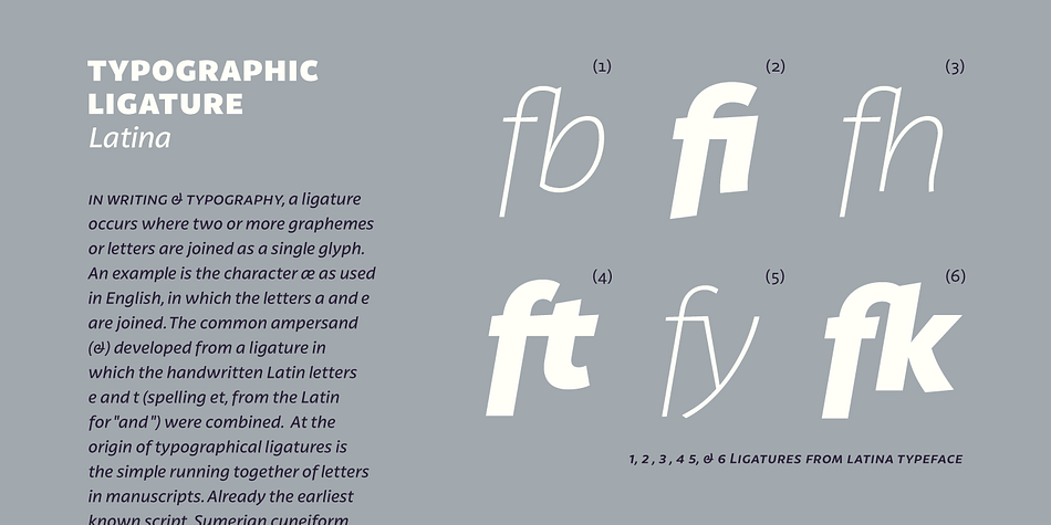 Displaying the beauty and characteristics of the Latina font family.