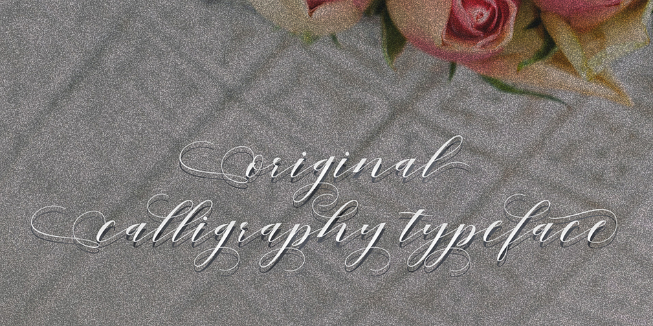 To enable the OpenType Stylistic alternates, you need a program that supports OpenType features such as Adobe Illustrator CS, Adobe Indesign & CorelDraw X6-X7, Microsoft Word 2010 or later versions.