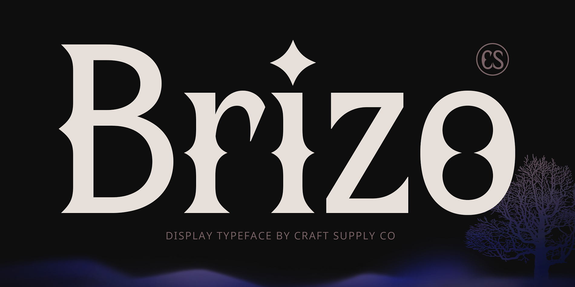 CS Brizo
