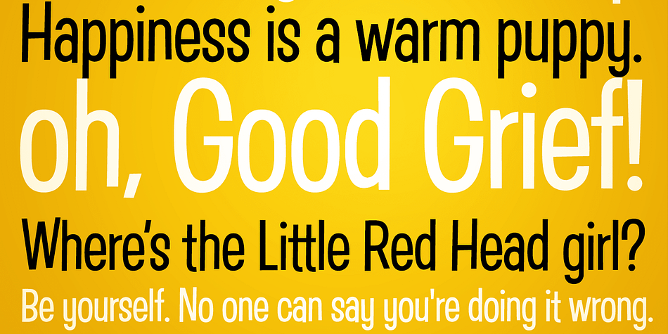 An ever so slightly off kilter sans-serif, Good Grief started as a digitization of a film typeface called Carmel by LetterGraphics.