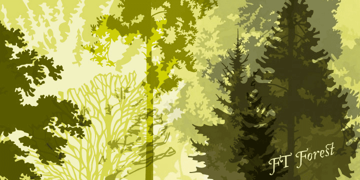 Displaying the beauty and characteristics of the FT Forest font family.
