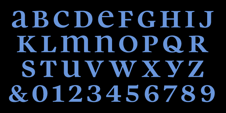 Parity is a two font, display serif family by Shinntype.