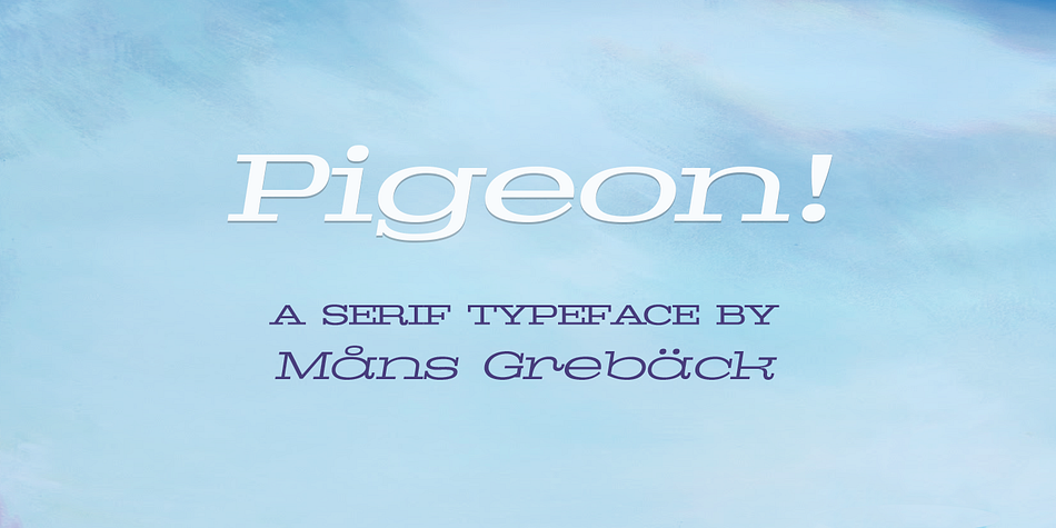 Pigeon is a high-quality serif font in six styles.