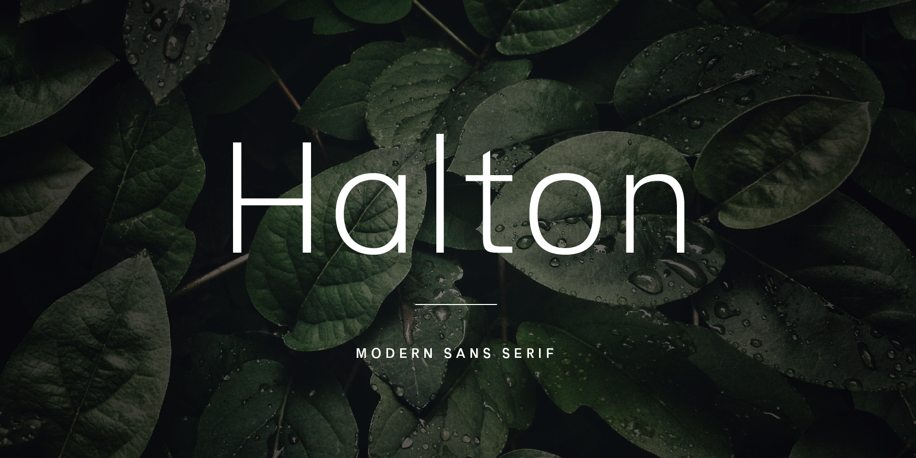 Halton