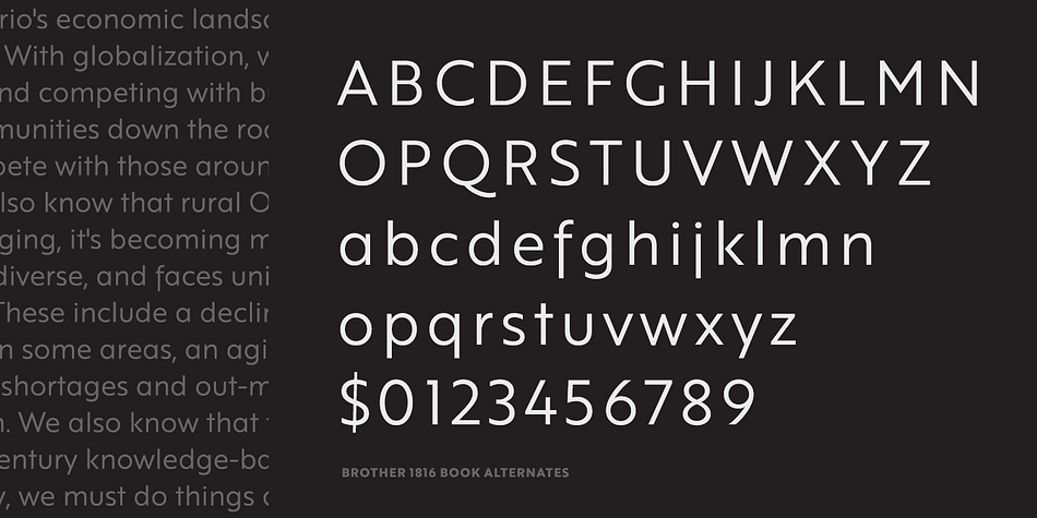 Brother 1816 Font