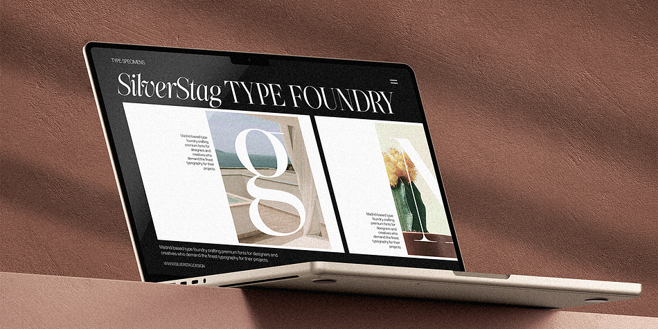 The Portray Font