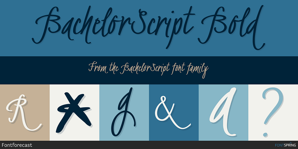 BachelorScript Bold Font