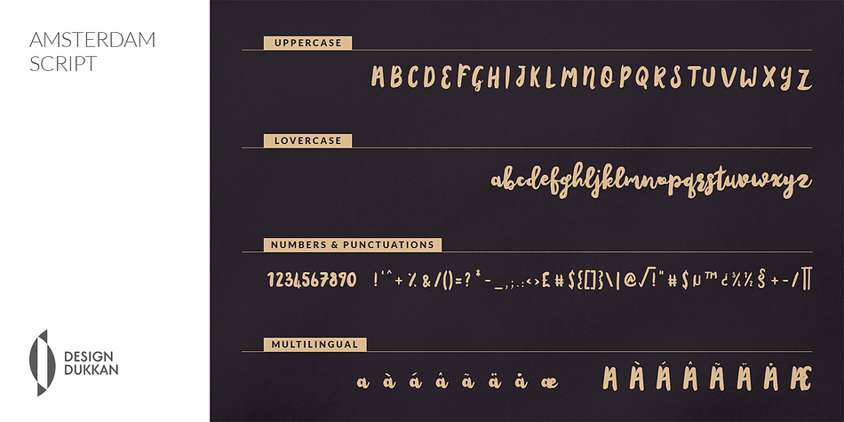 Displaying the beauty and characteristics of the Amsterdam Script font family.