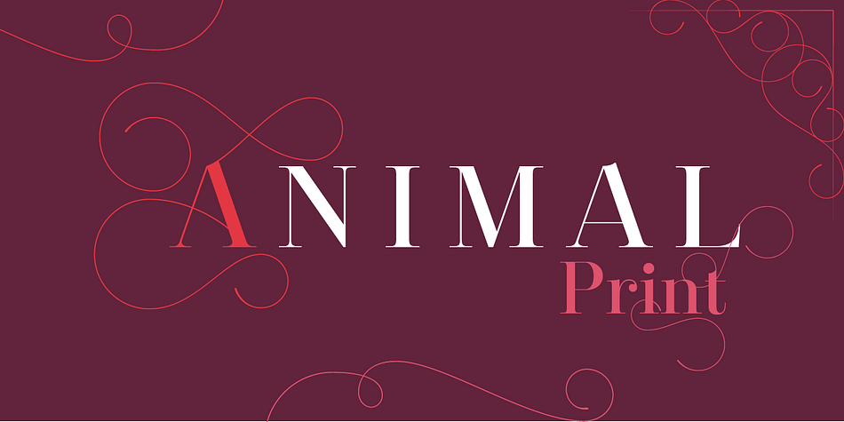 Emphasizing the popular Santis font family.