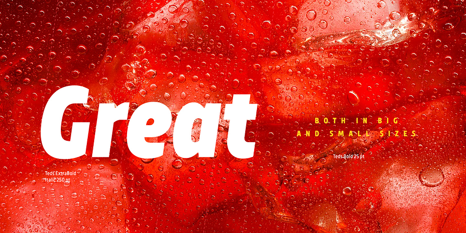 TT Teds font family sample image.