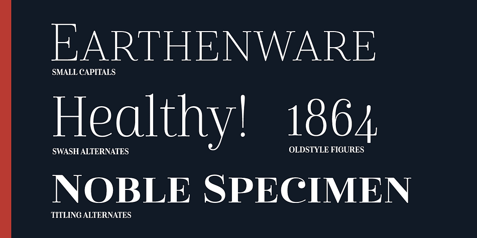 Cabrito Didone joins structure and handwriting to create a flowing balance of both characteristics.