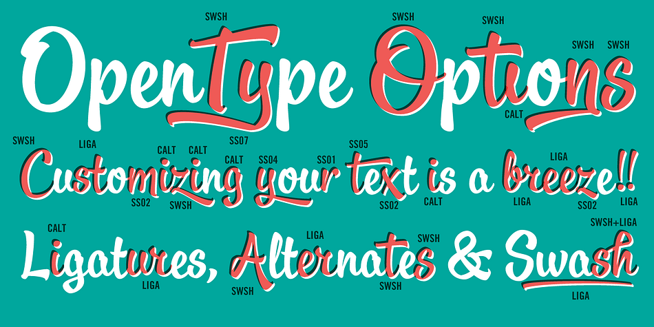 Displaying the beauty and characteristics of the Oldskool Script font family.