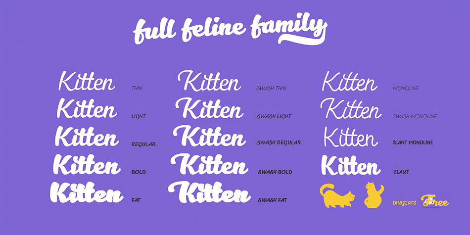 Kitten covers over 40 languages that use the Latin alphabet, with a full range of accents and diacritics.