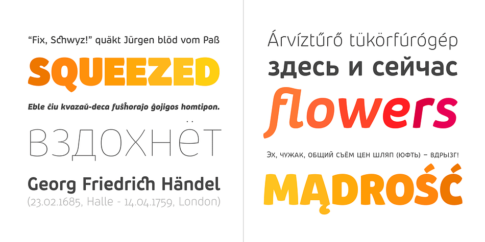 It is a professional, contemporary sans serif with original letter forms, friendly and dynamic feel.