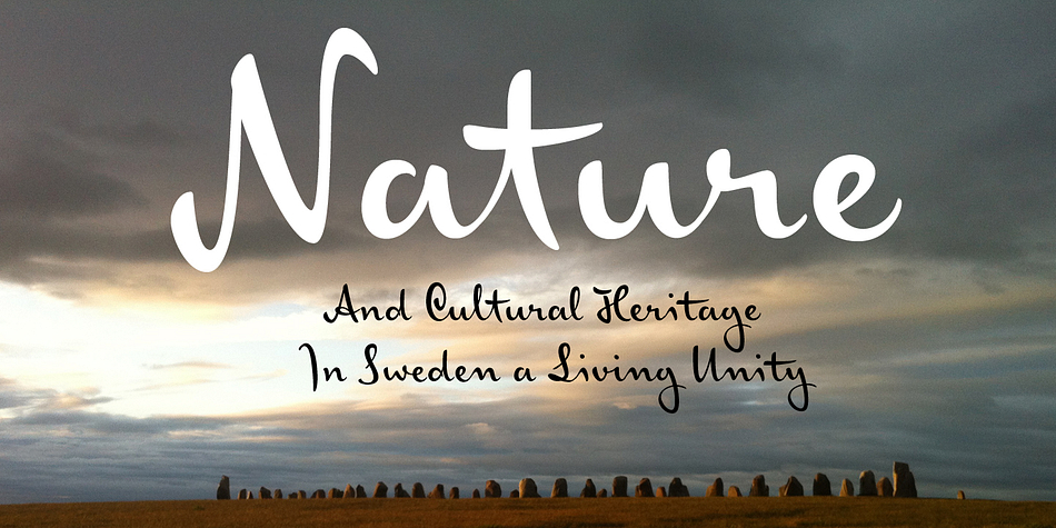 Highlighting the Josef K font family.
