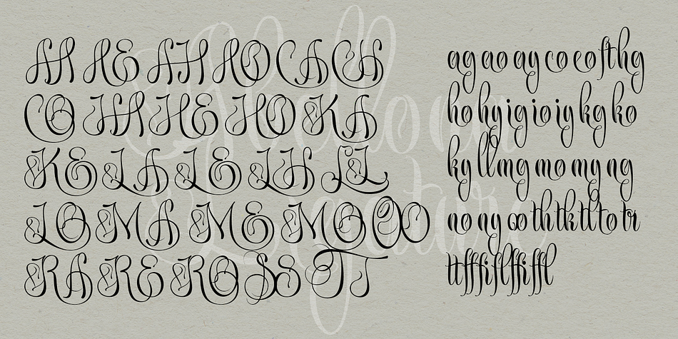 Abellona Script Font