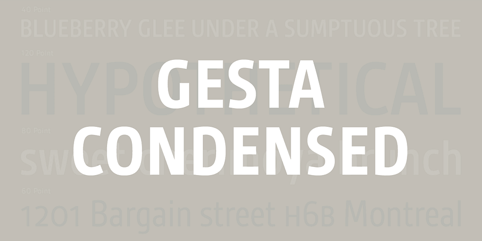 Gesta Condensed is a friendly versatile sans serif typeface suitable for corporate and editorial porposes.