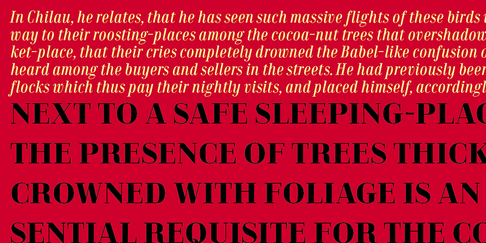 The Condensed version is developed in two weights each coming with corresponding italics.