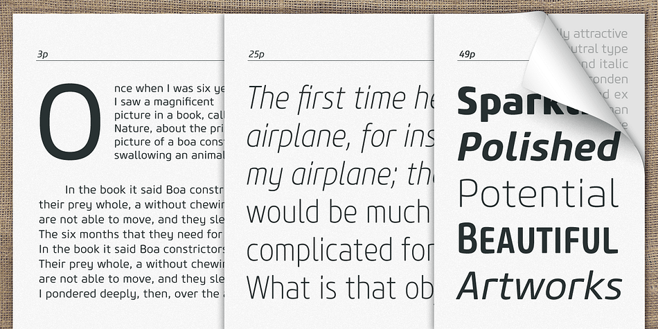 The Core Sans M Family consists of 2 widths (Condensed, Normal), 7 weights (ExtraLight, Light, Regular, Medium, Bold, ExtraBold, Heavy), and Italics for each format.