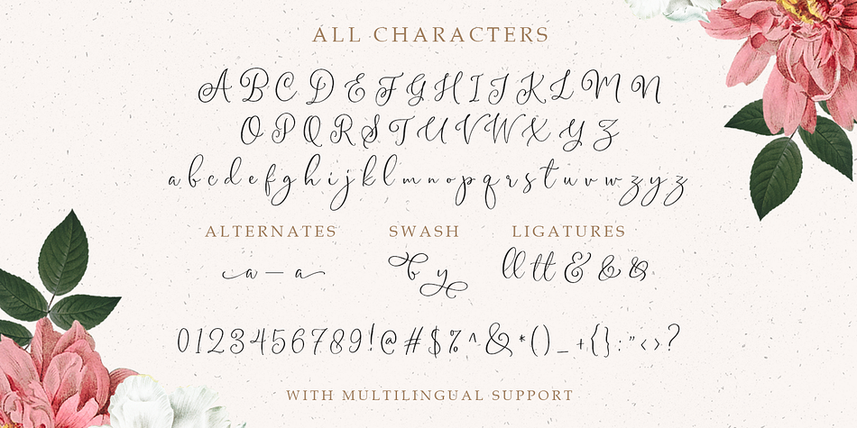 Gladiolus Font