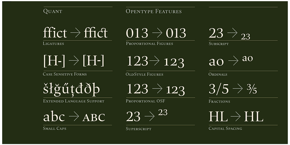 The Quant family consists of 8 styles, comes in OpenType format with extended language support for more than 40 languages.