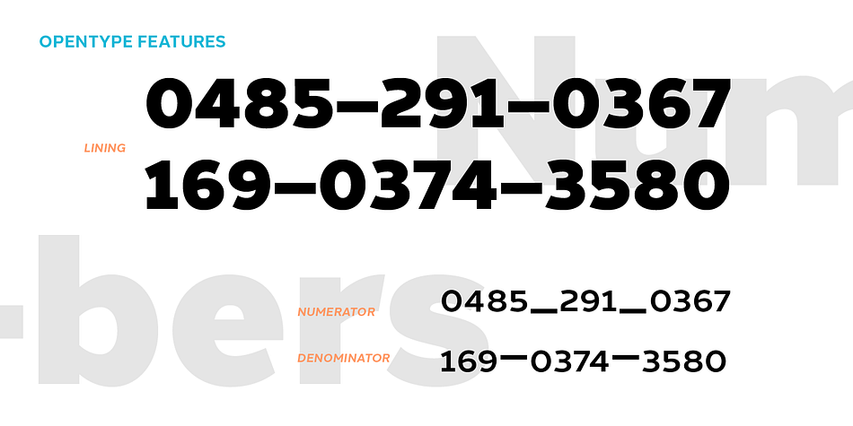 Details include 550 characters with an alternative lowercase a, g and y, five variations of numerals, manually edited kerning and Opentype features.