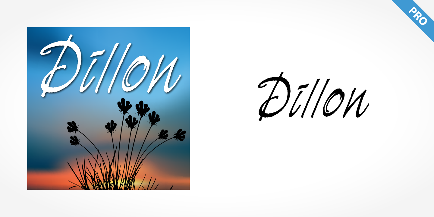 Dillon Pro
