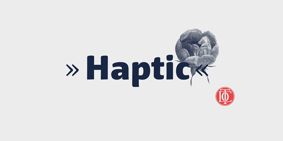 Haptic is a 7 weight plus italics sans serif typeface family.