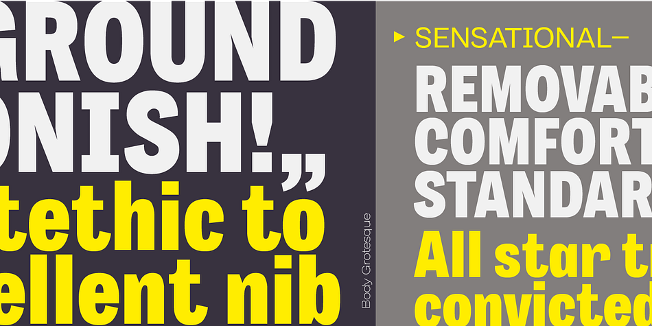 Body is a sixty-four font, sans serif family by Zetafonts.