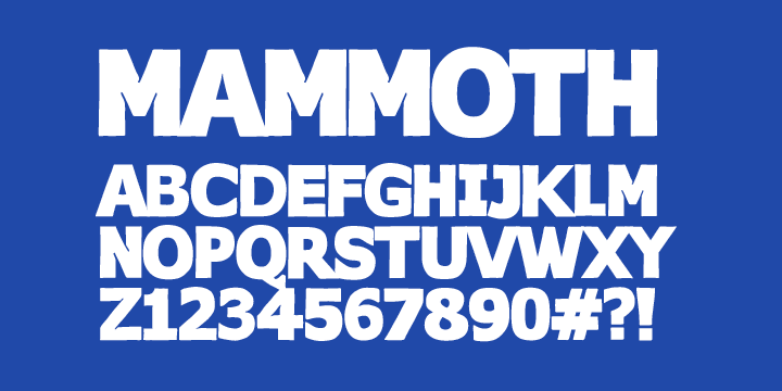 Displaying the beauty and characteristics of the FT MAMMOTH font family.