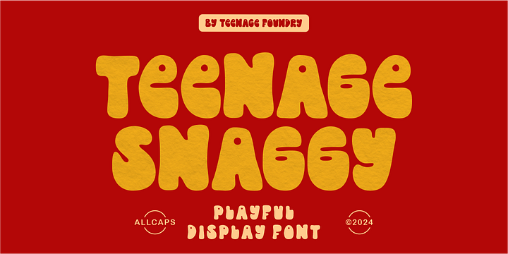 Teenage Snaggy font family by Teenage Foundry