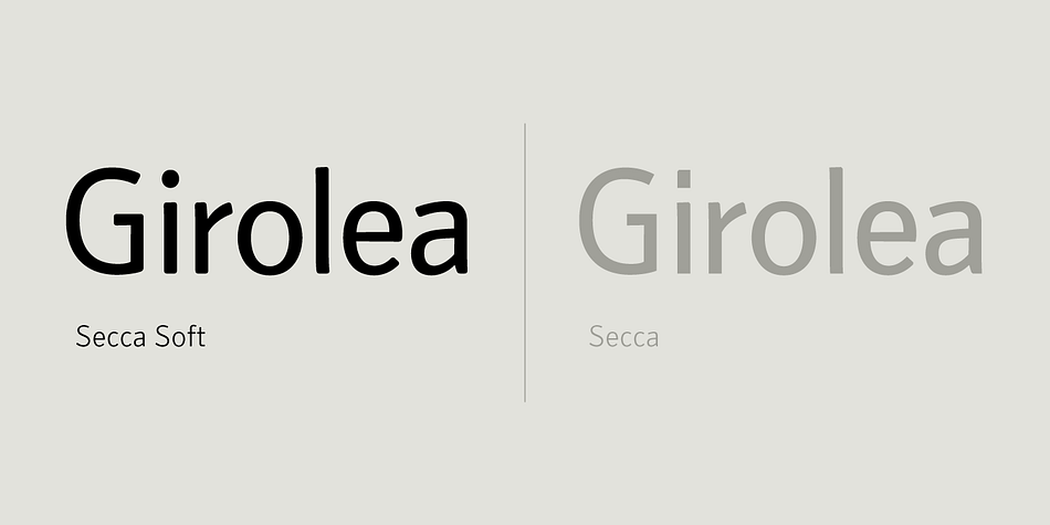 The Secca Soft font family offers extented support for Latin, small caps, small cap figures, tabular and proportional figures, medieval figures, dynamic frations and more.