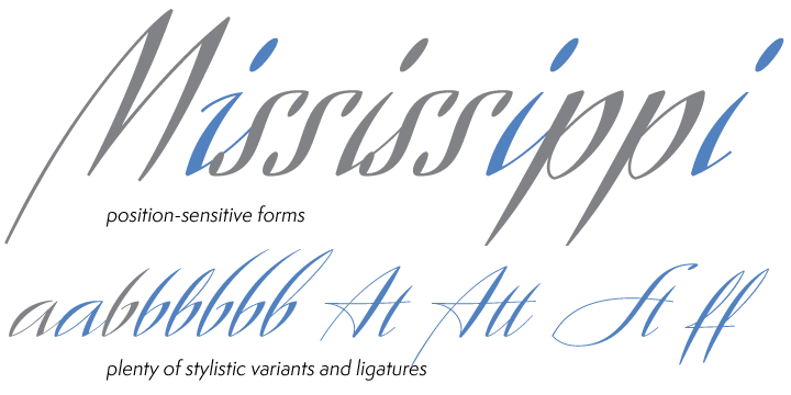 The complete set comes with a fourth font that includes tons of alternates and ligatures and, more importantly, Libertine Pro, the 1160+ character behemoth that combines all four fonts for advanced typography environments, where automatic ligatures, stylistic alternates, and position-sensitive forms are seamlessly put to good use.