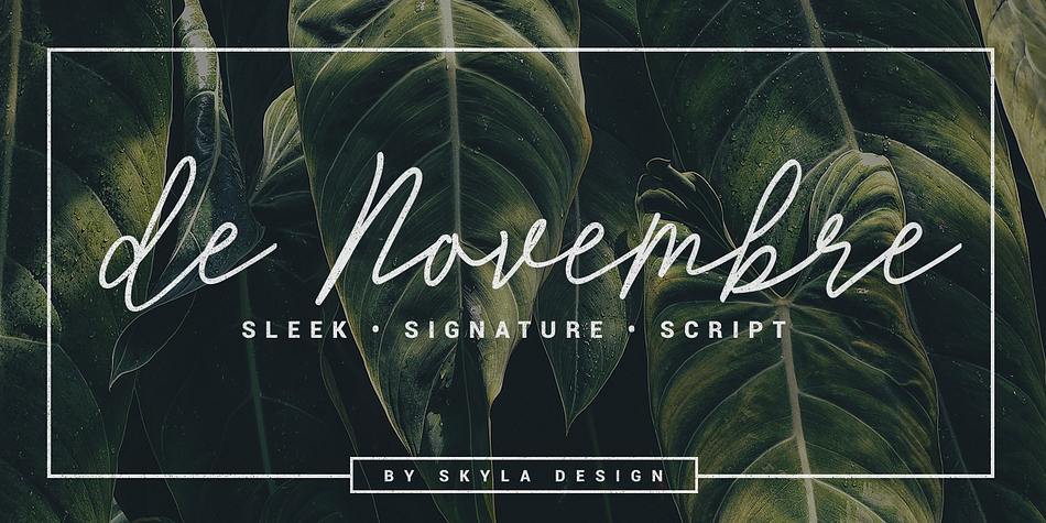 De Novembre is a sleek, signature, script which will give instant class and style to your work.