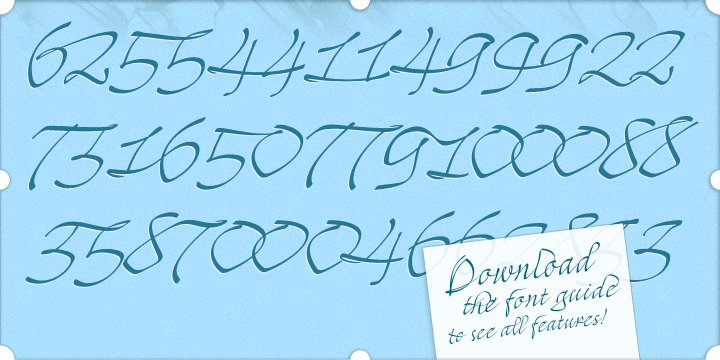 When you enable the Titling Alternates (in OpenType-savvy programs), these 9 ampersand styles are converted to their forms of seal, with different purposes of use.