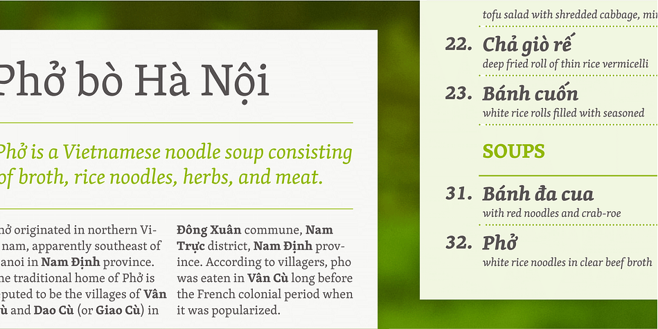 Skolar’s vast character set caters for 90+ Latin-script languages, polytonic Greek, 44+ Cyrillic languages, various Latin transliterations (Pinyin, Sanskrit), Devanagari (Sanskrit, Hindi, Marathi, Nepali, …), and Gujarati.