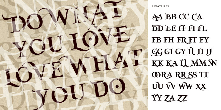 With the OpenType options or the glyphs palette you make your own special typo