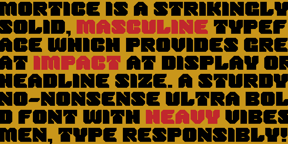 Displaying the beauty and characteristics of the Mortice font family.