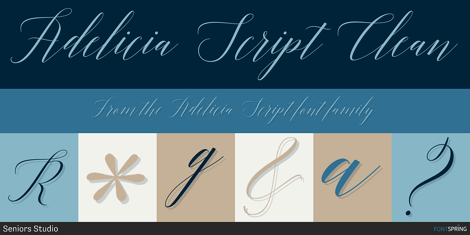 Adelicia Script Clean Font