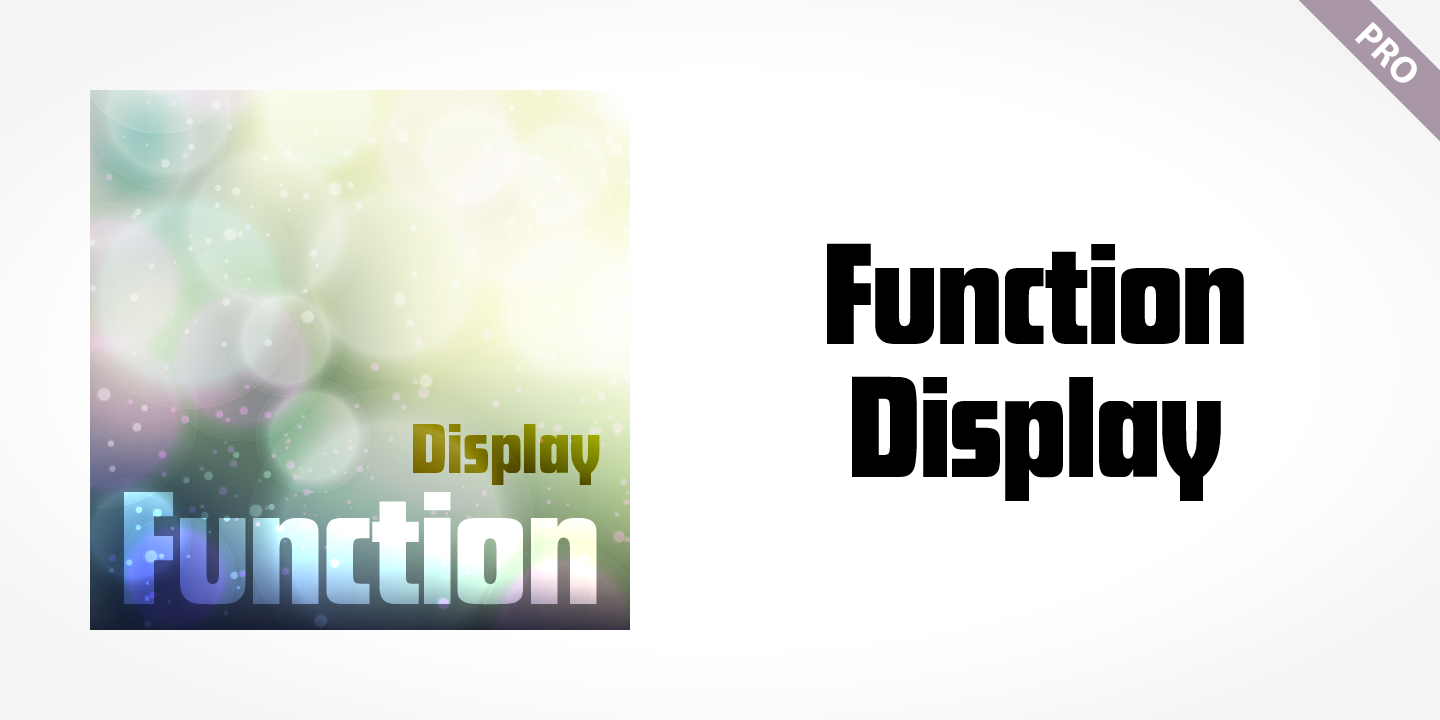 Function Display Pro