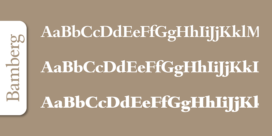 Emphasizing the popular Bamberg Serial font family.