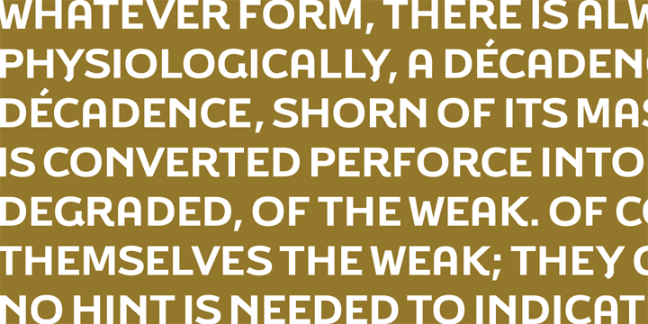 Displaying the beauty and characteristics of the Brisko Display font family.
