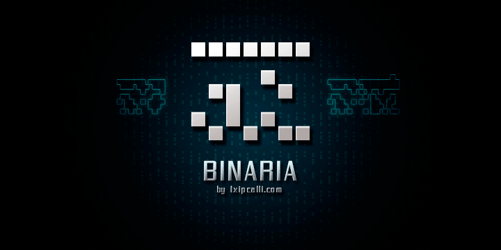 Displaying the beauty and characteristics of the Binaria font family.
