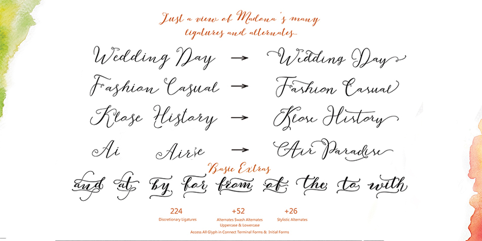 Displaying the beauty and characteristics of the Madona Script font family.
