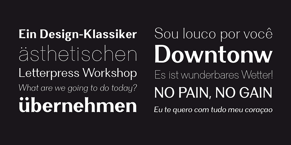Clasica Sans font family example.