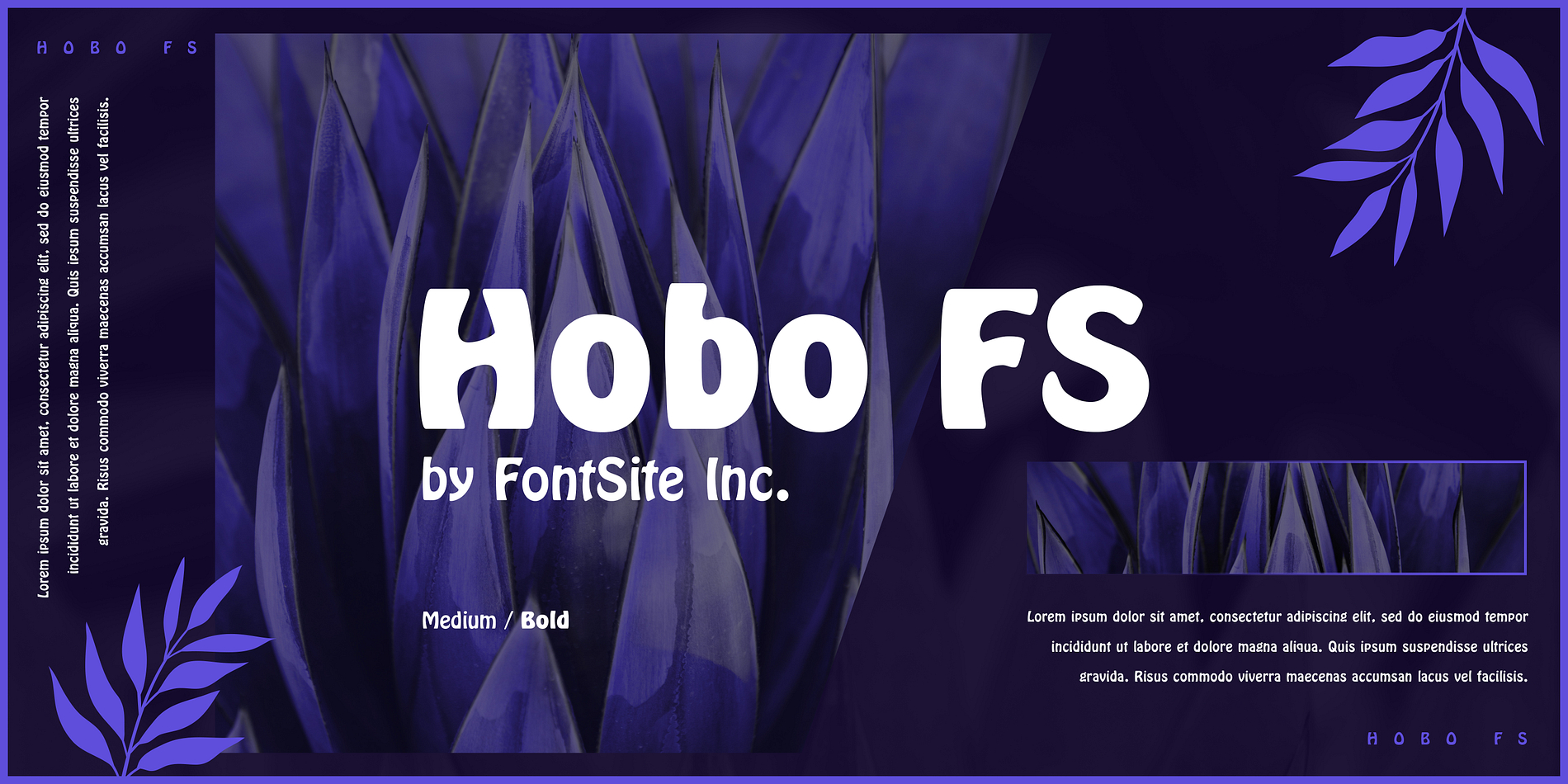 Hobo FS