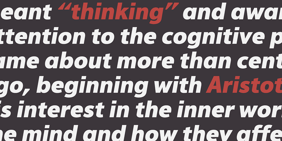 Designed by Olivier Gourvat, Interval Next is a sans serif font family.
