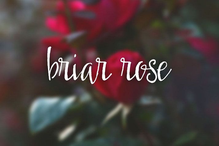 Displaying the beauty and characteristics of the Briar Rose font family.